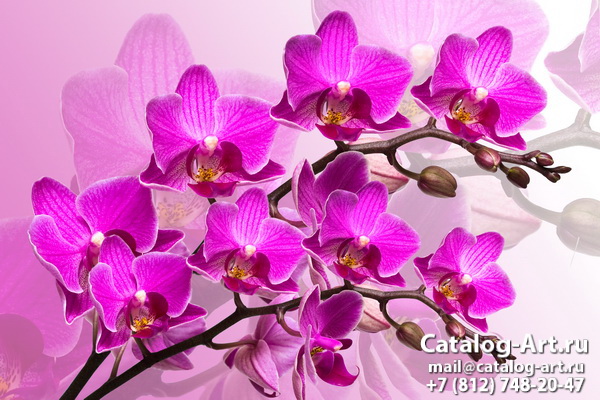 Натяжные потолки с фотопечатью - Розовые орхидеи 31